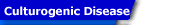 Culturogenic Diseases